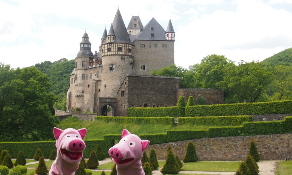 Die Schweine erfahren, dass hier die peruanische Setzkartoffel aufgrund des Eifelklimas erstmals ausgesetzt wurde.