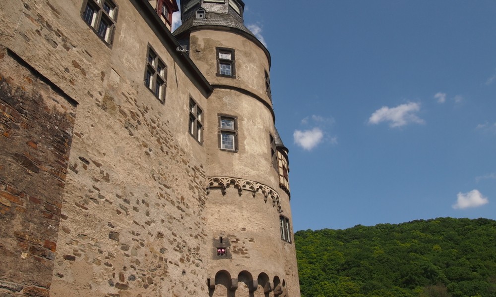 Die Schweine haben sich im ersten Stock einquartiert.