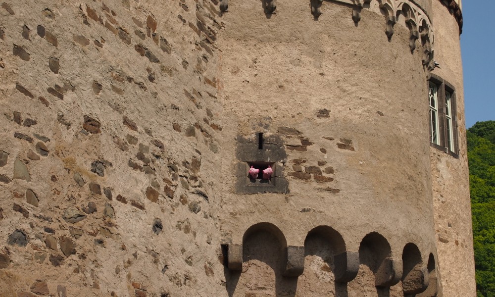Da ist man nämlich am nächsten am Kartoffelfeld.
