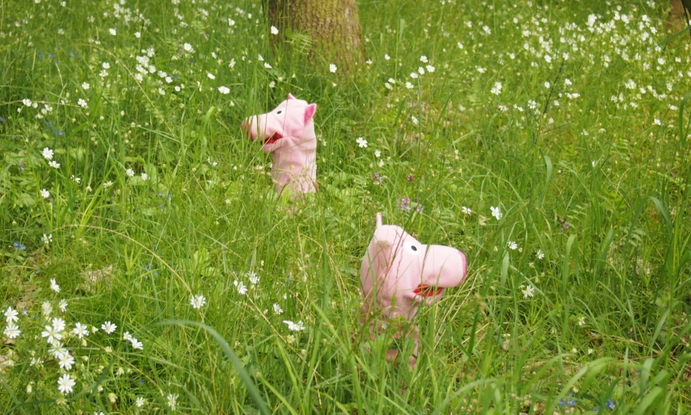 Da ist es passiert: verlaufen, denn man sieht den Wald vor lauter Blumen nicht.
