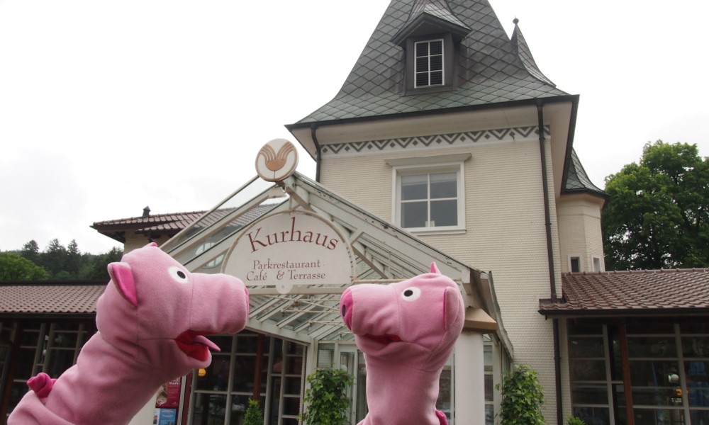 Ein Schweinle schlägt vor, sich mit der Kurtaxe zum nächsten Ort fahren zu lassen.