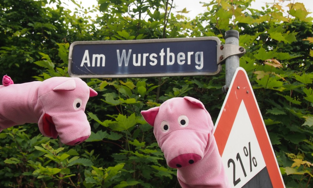 Am Wurstberg wird den Schweinele übel, eins muss brechen.