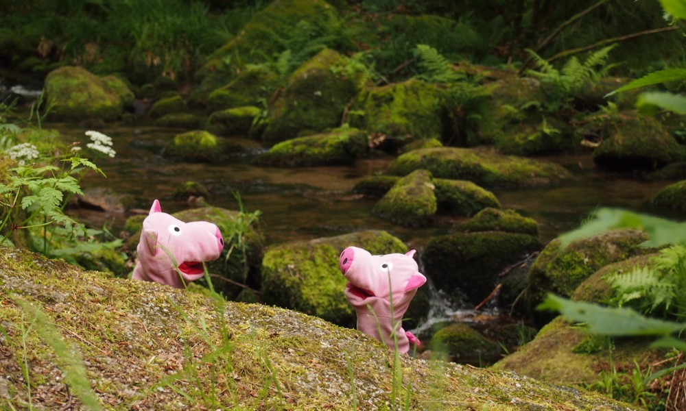 Mit frischer Waldluft geht'sch wieder besser.