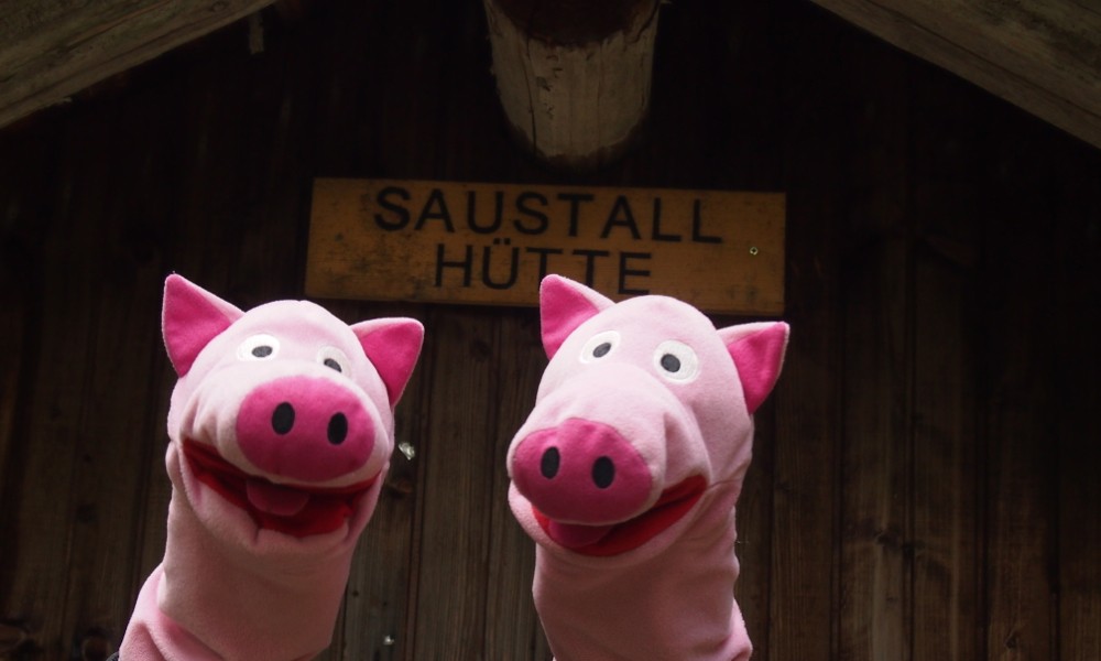 Hier fühlen sich die Schweinele heimisch.