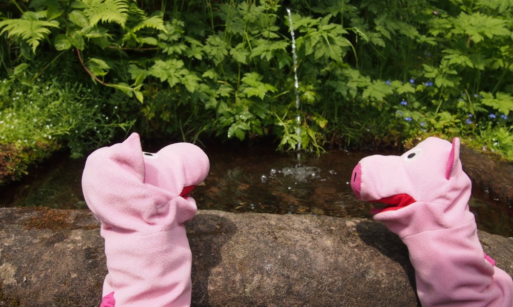 Am Waldbrünnle machen die Schweinele ein Päusle.