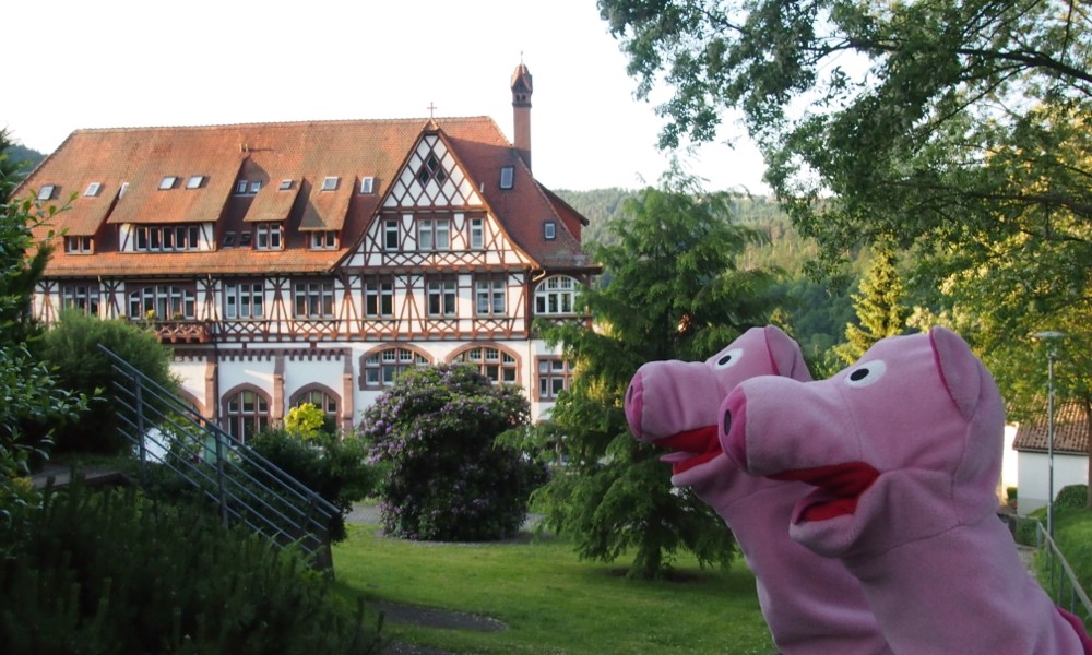 Die Schweinele sind an der Liebenzeller Mission angelangt, in Bad Liebenzell.
