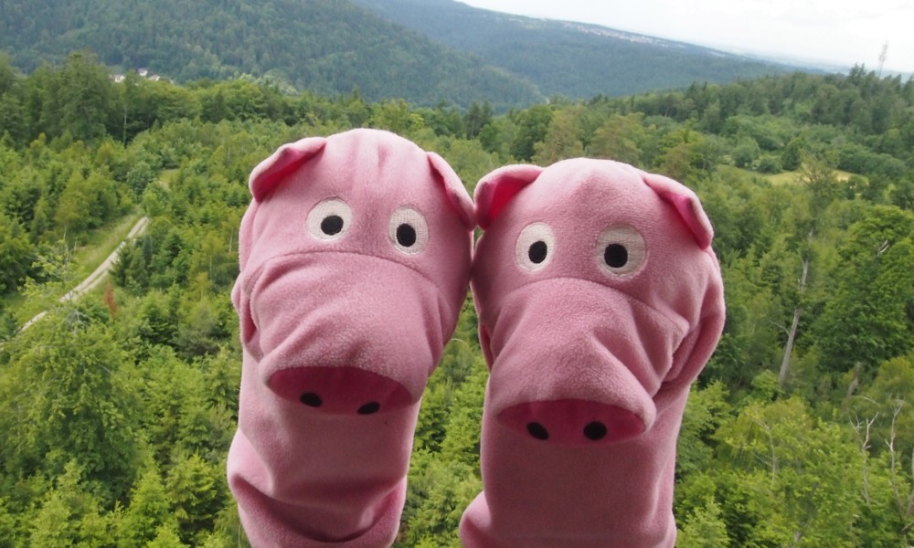 Jetzt machen die Schweinele mal Bad Bösenzell.