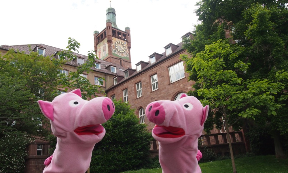 Schweinle und Schweinle am Großherzoglichen Bezirksamtsturm. Schade, da geht's wieder heim!