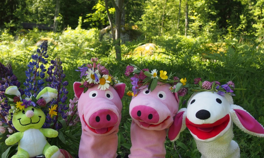 Lotte ist den Schweinen mit dem Hasi zusammen hinterhergefahren, damit alle zusammen Mittsommer feiern können.