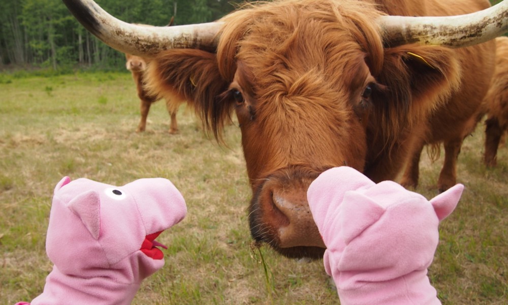... um mit der Bevölkerung ins Gespräch zu kommen. Hier sind z.B. lange Haare modern.