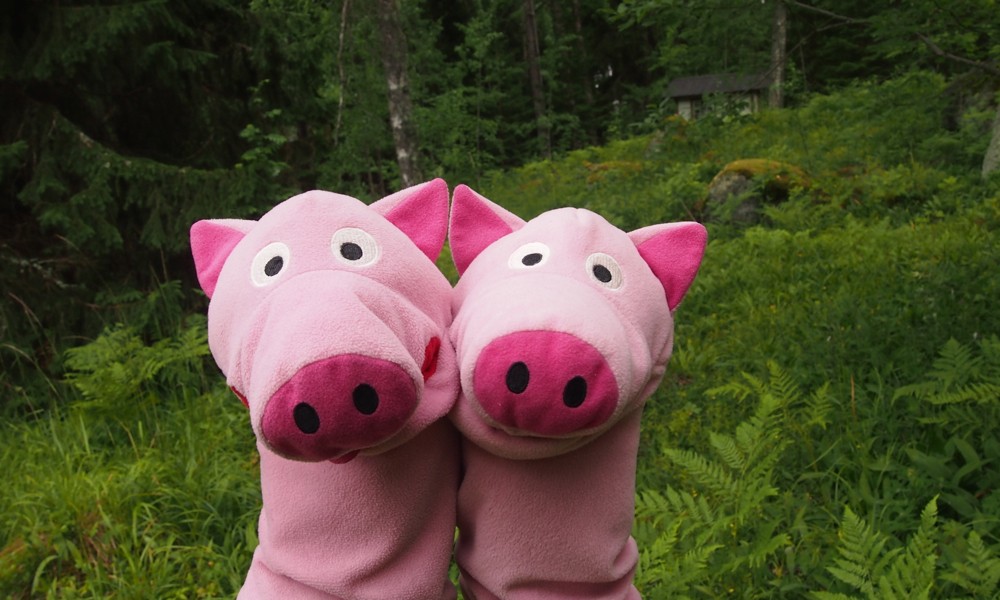 Die Schweine sind erschrocken.