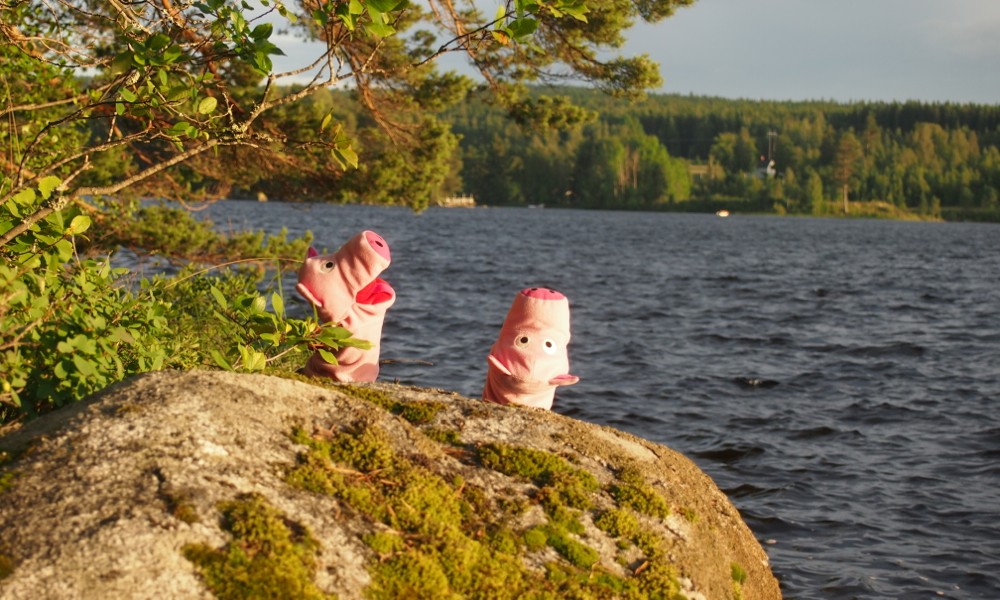 In der Sonne: Schweine in Extase.