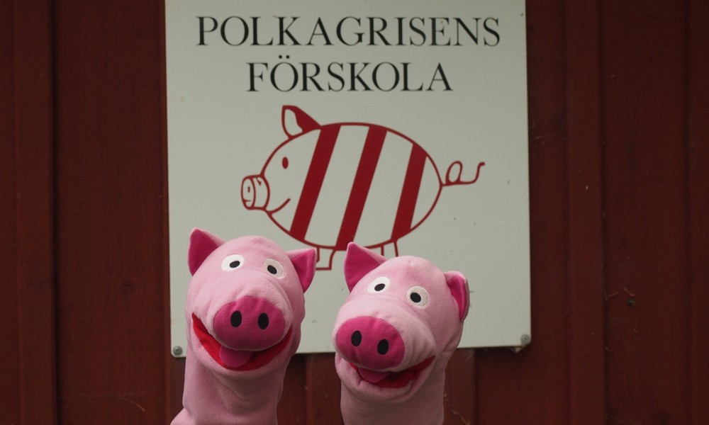 Wenn die Schweine groß sind, möchten sie in die Polkagrisens Förskola gehen.
