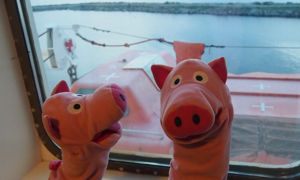 Für die Rückfahrt haben die Schweine die Kabine neben dem Rettungsboot. Man weiß ja nie!