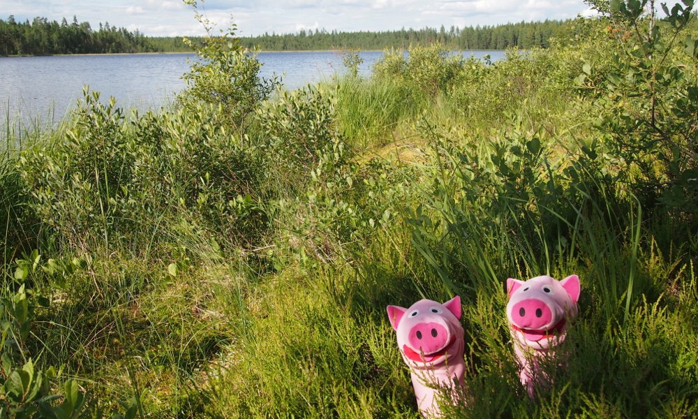Da schaukelt's nicht so! Bald geht's weiter nach Stockholm!