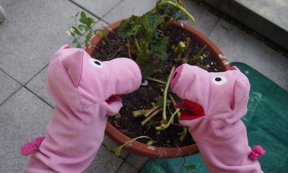 Na, da unten müssen sie doch irgendwo sein?