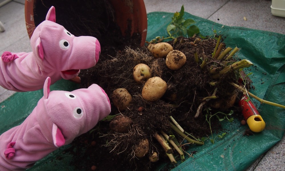 Das sieht doch schon mal gut aus.