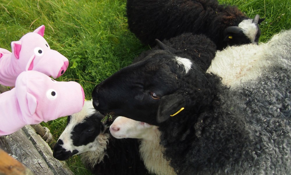 Genau, da ist er schreiend weggelaufen!