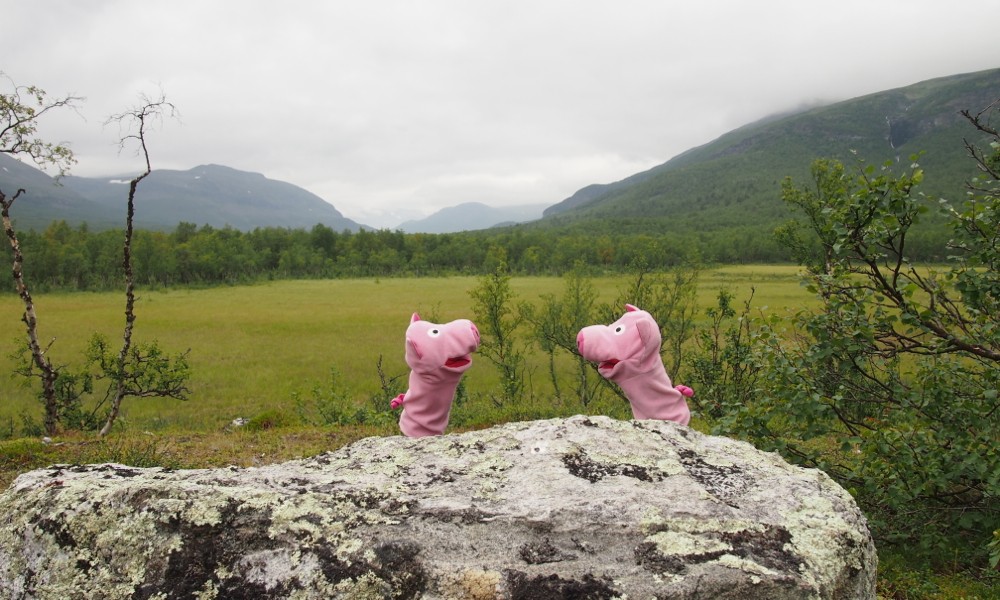 Da sind sie schon unterwegs!