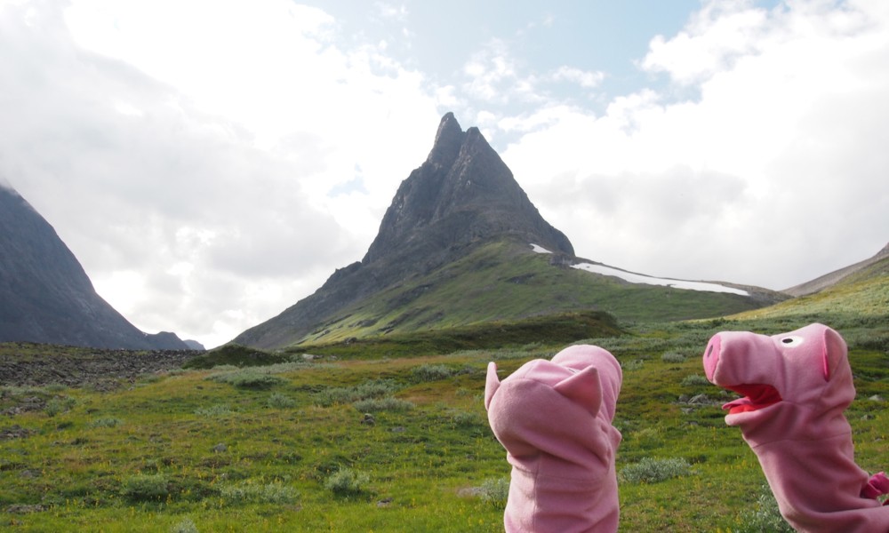 Die Schweine bewundern den Nallo. So heißt der spitze Berg.
