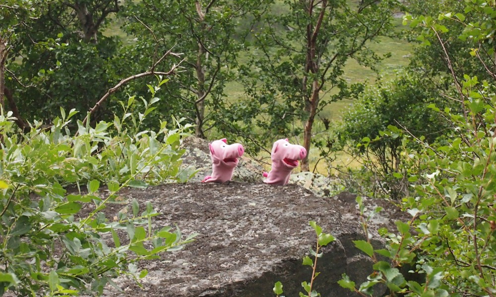 Am nächsten Morgen geht es weiter, und da fängt's an zu regnen ....