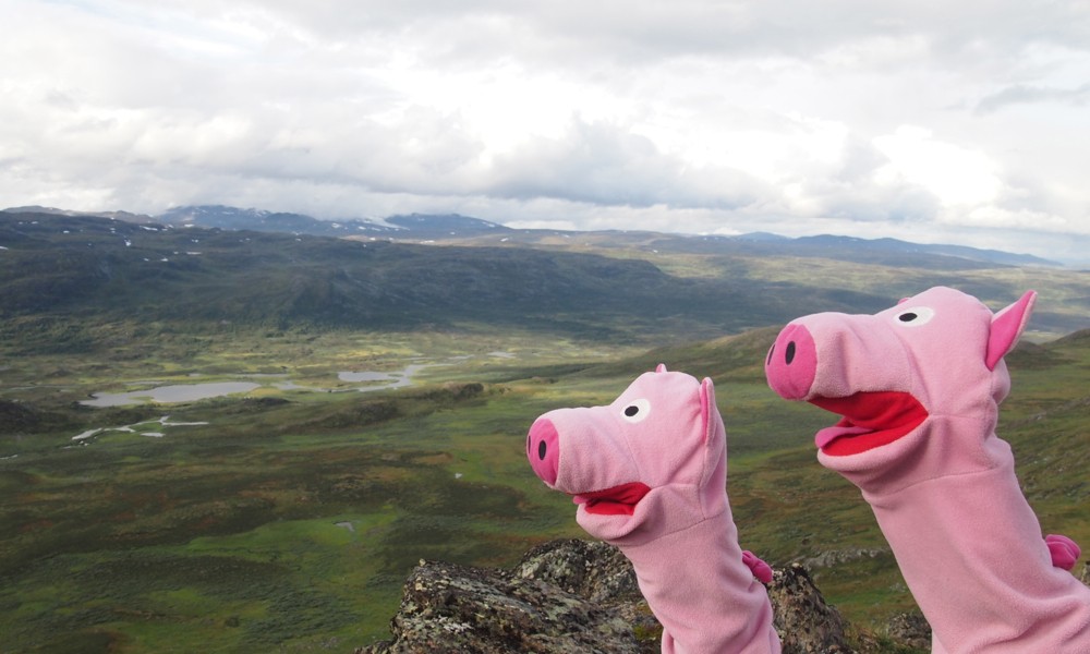 Ui, ein Tal voll mit Kvanne!