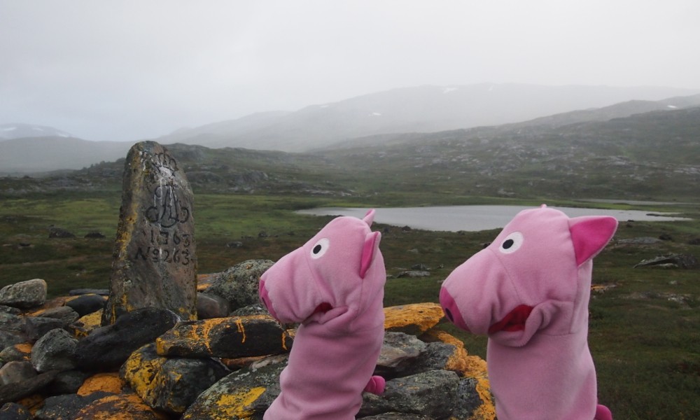 An der Grenze stellen die Schweine fest, dass das schlechte Wetter aus Norwegen kommt.