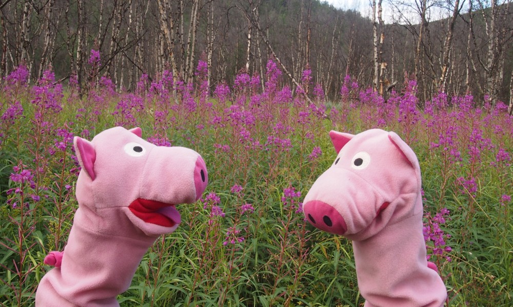 Farblich wird auch das Passende geboten.