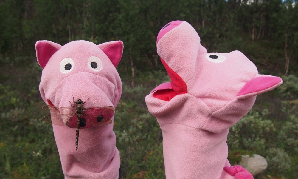 Hilfe, wir brauchen eine Fliegenklatsche!