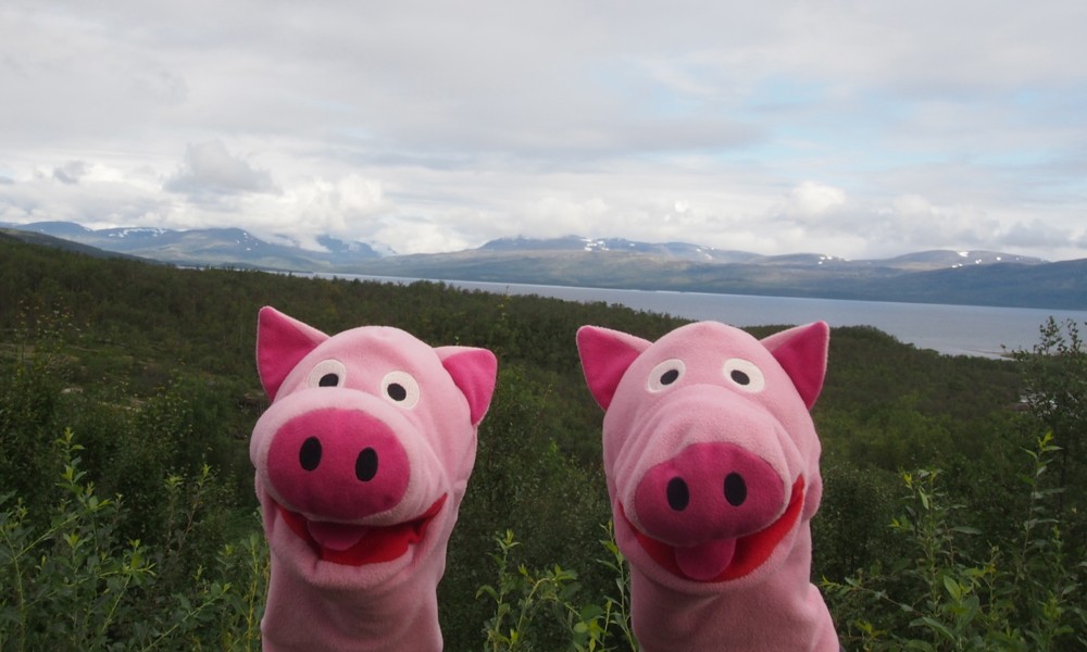 Da sind sie schon in Abisko! Und kommen gerne wieder!
