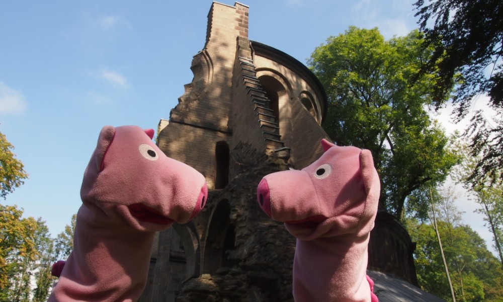 Die Schweine fragen sich, wer am Kloster Heisterbach alles kaputt gemacht hat.