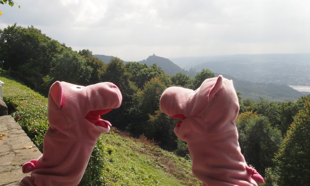Vom Petersberg blicken die Schweine runter auf Königswinter, denn sie sind obendrüber, nicht davor und nicht dahinter.