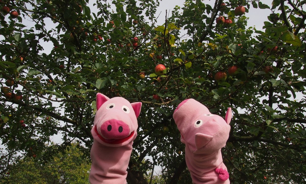 Alle Übelkeit verfliegt, wenn die reifen Äpfel betrachtet werden (auch wenn es leider leider keine Erdäpfel sind)