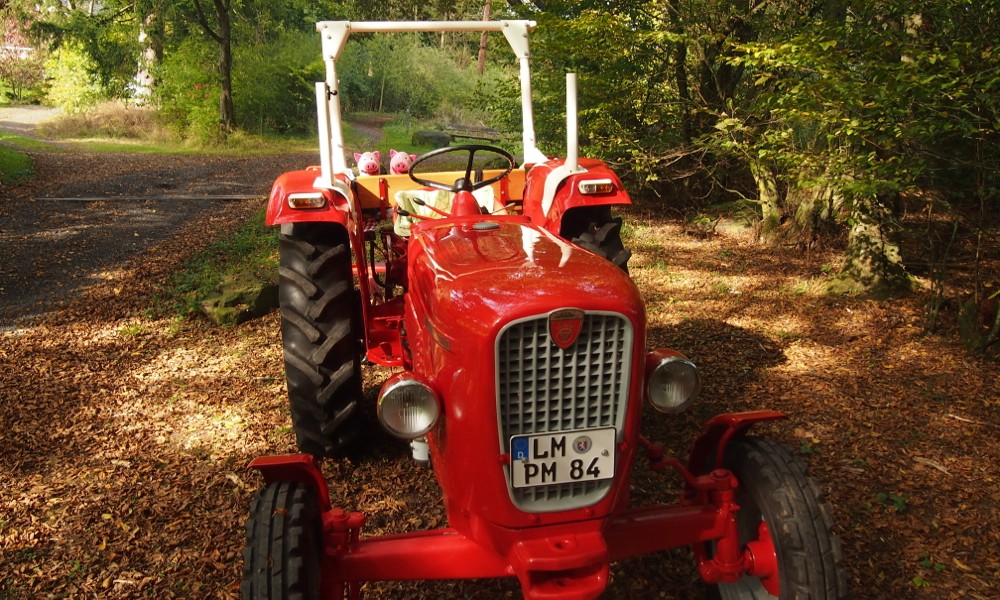 ... und ist bestens für die Kartoffelernte geeignet. Die Schweine nehmen Platz.