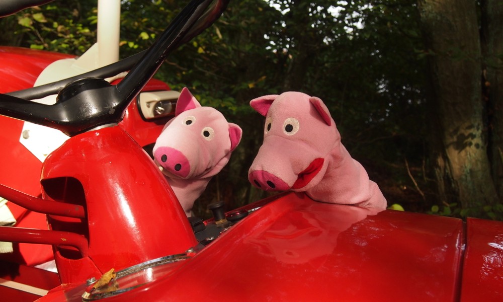 Ob die Schweine diese Armaturen bedienen können?