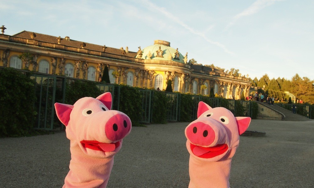 Königliche Schweine. 