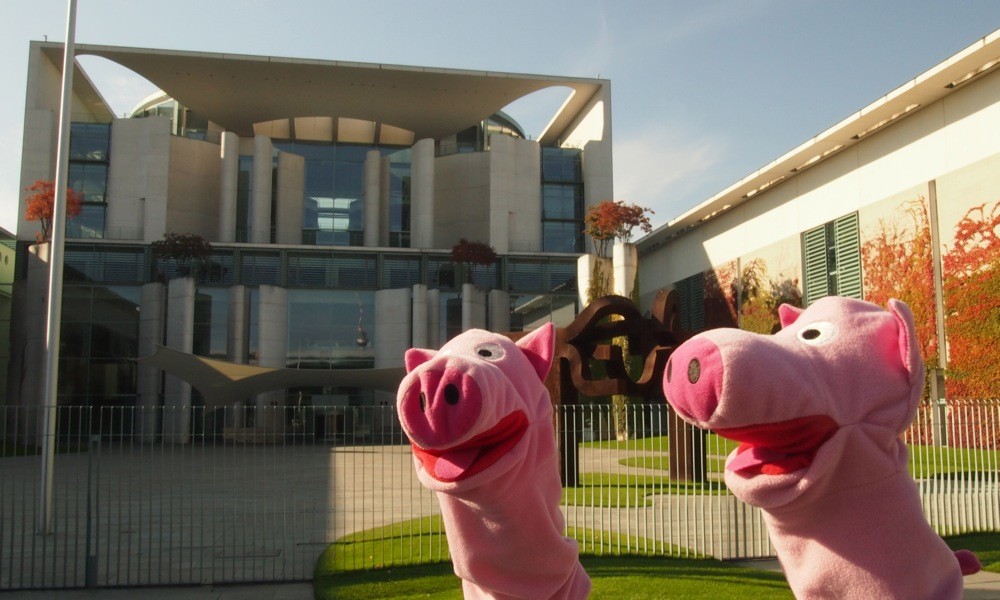 In Berlin schauen die Schweine bei der Kanzlerin vorbei. 