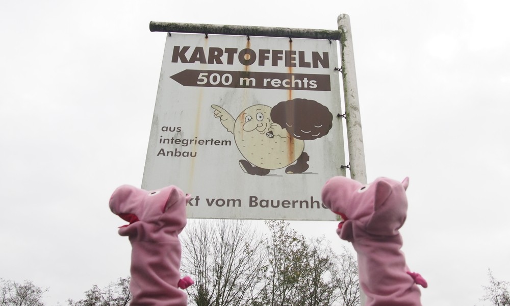 ... es wurden direkt frische Kartoffeln angepriesen.