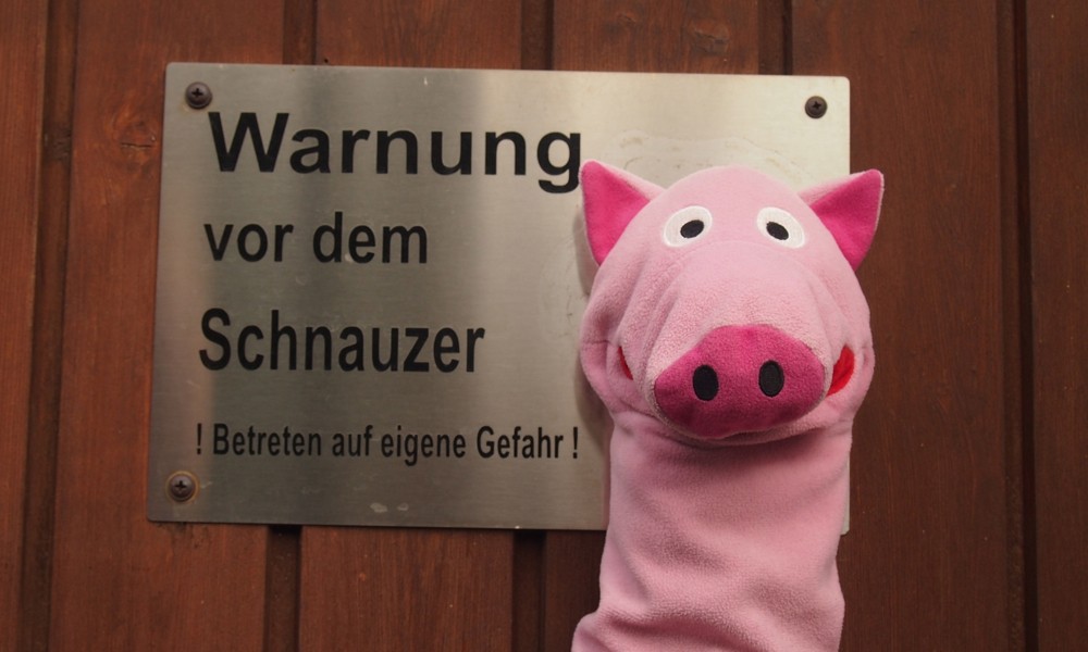 Warnung auch vor dem Schwein!