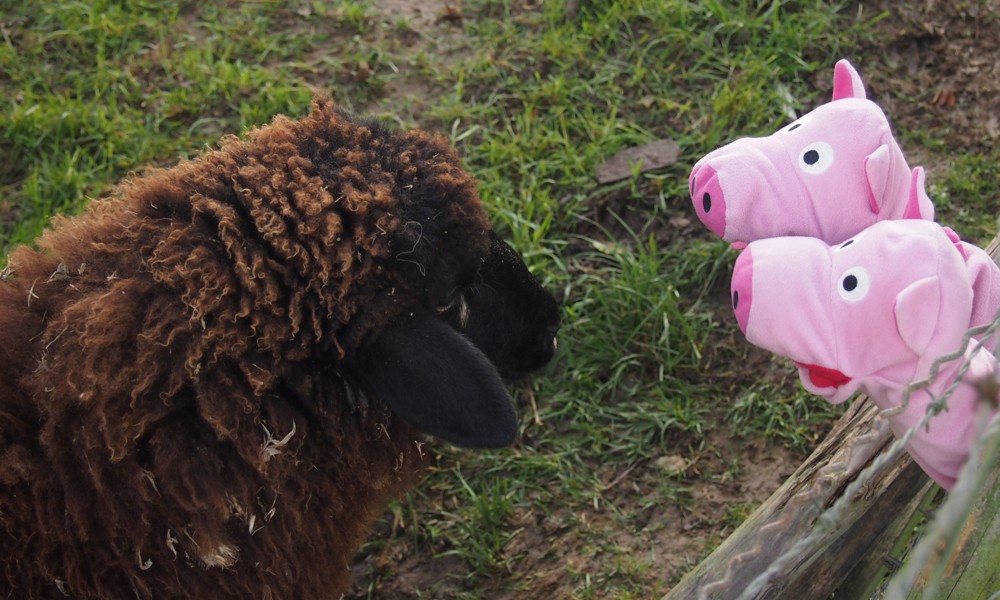 ... Gerlinde, ihre Cousine. Die Schweine fragen diese nach dem Weg.