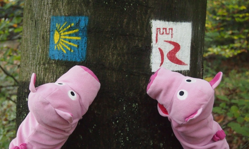 Das wäre aber nicht nötig gewesen, denn die Beschilderung ist vorbildlich.