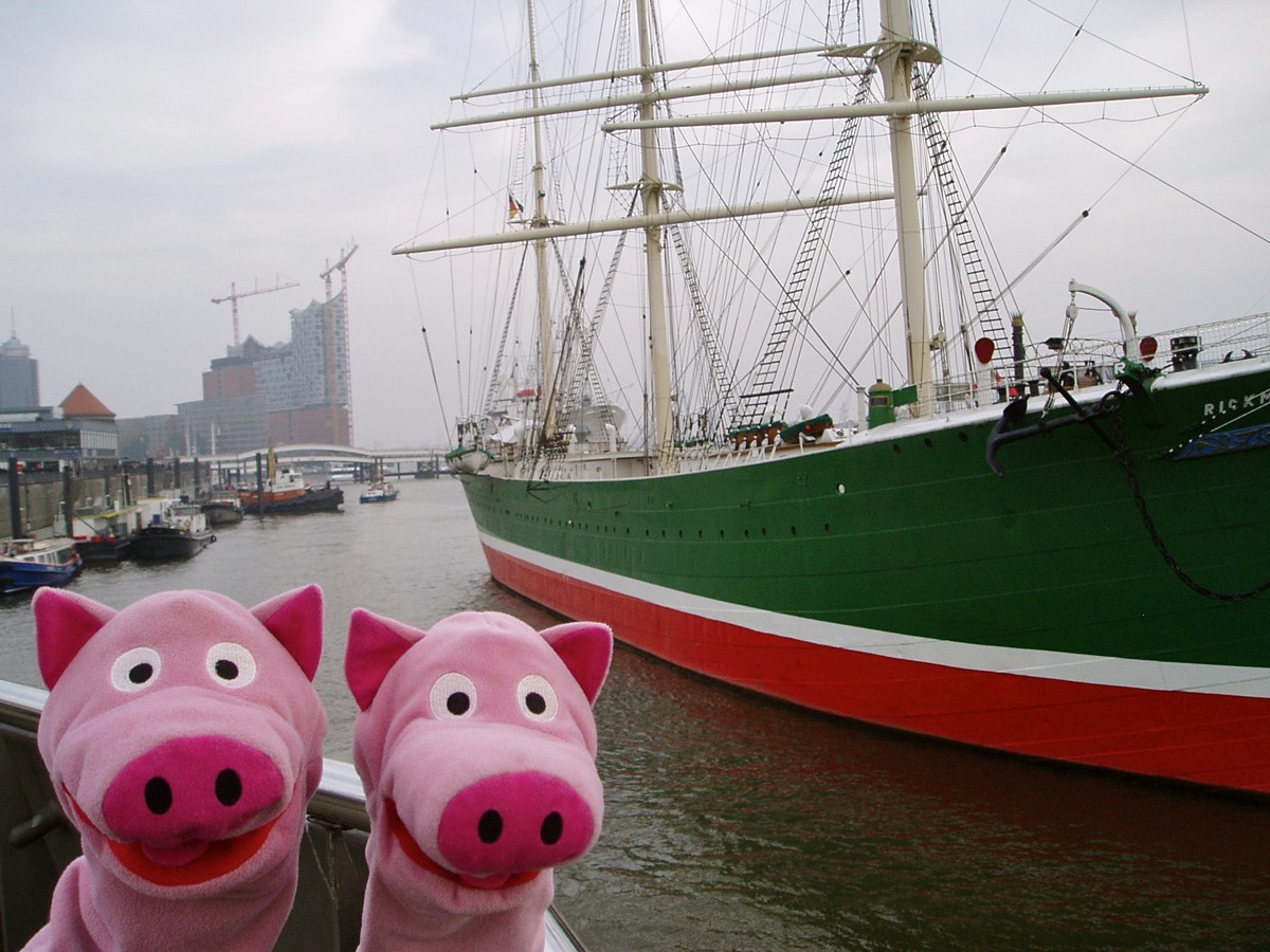 Na, dann mal zum Hafen: Hier möchten die Schweine anheuern (als Schiffsschweine)