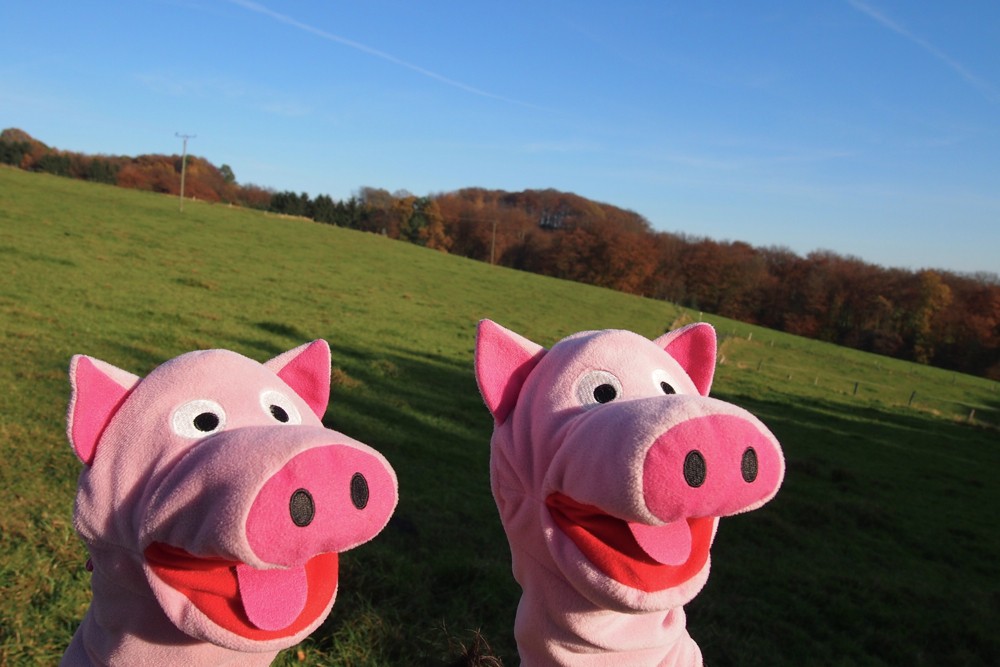 Weiter geht's, die Sonne macht gute Laune!
