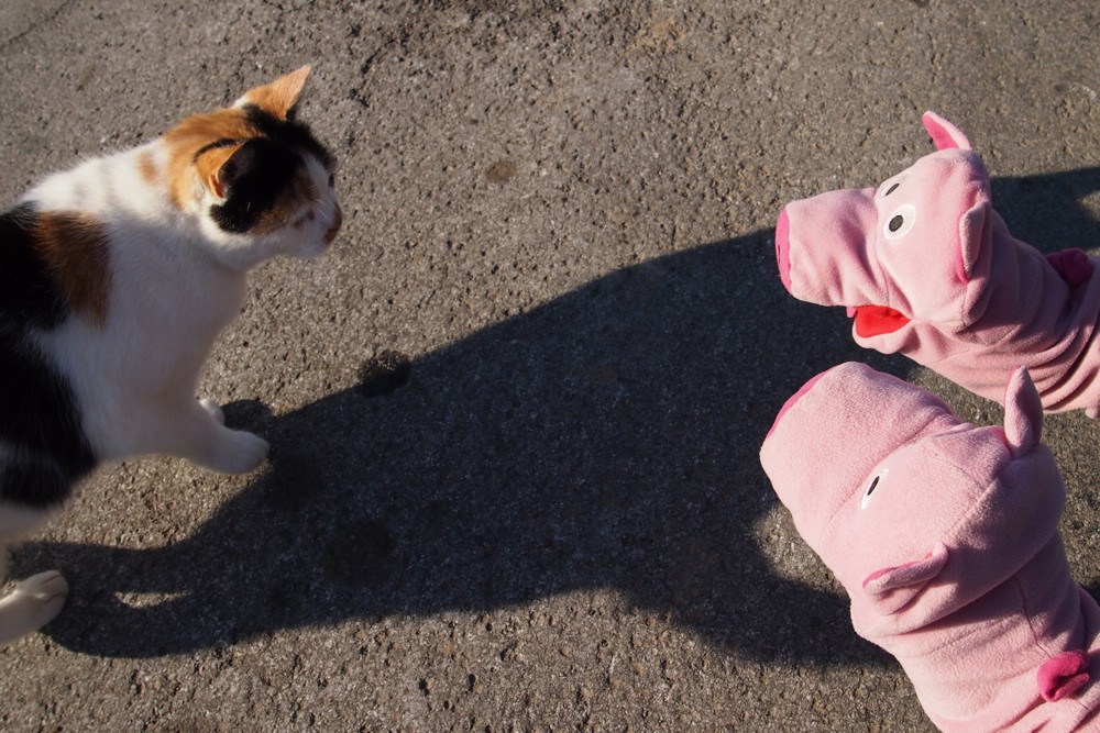 Sie erzählen auch vom letzten Wochenende in Hamburg.