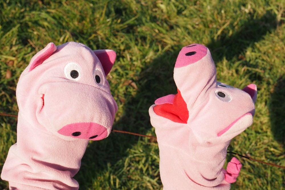 Plötzlich: "Autsch!" Da kräuselt sich das Ringelschwänzchen!