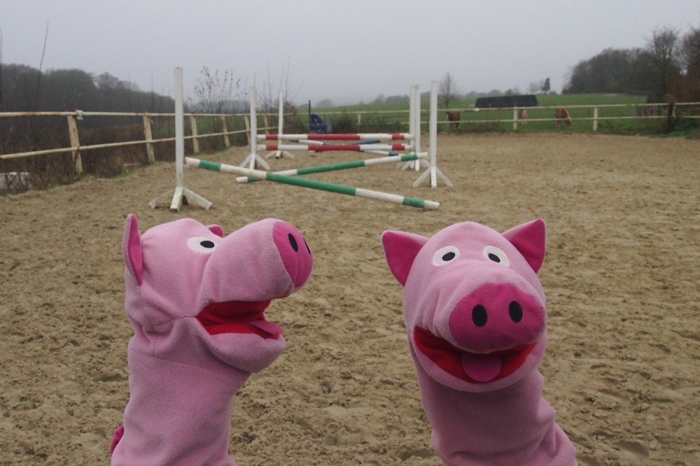 "Wir sind nämlich Springschweine!"