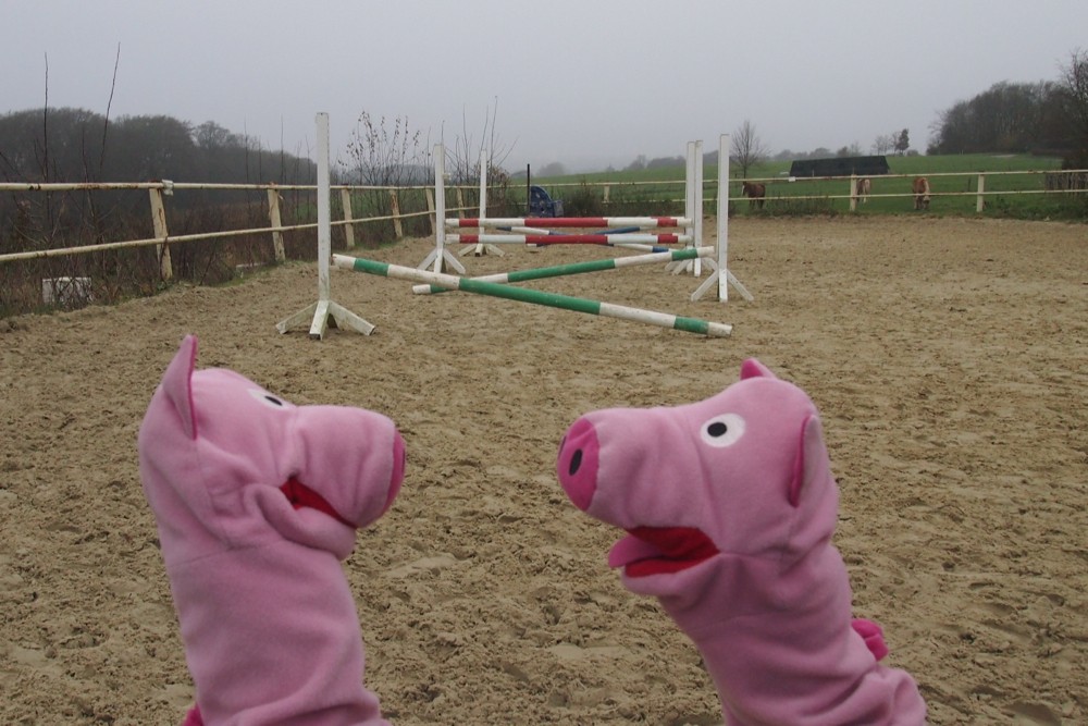 Ein Schwein schlägt vor, durch den Sprungparcours zu hüpfen.