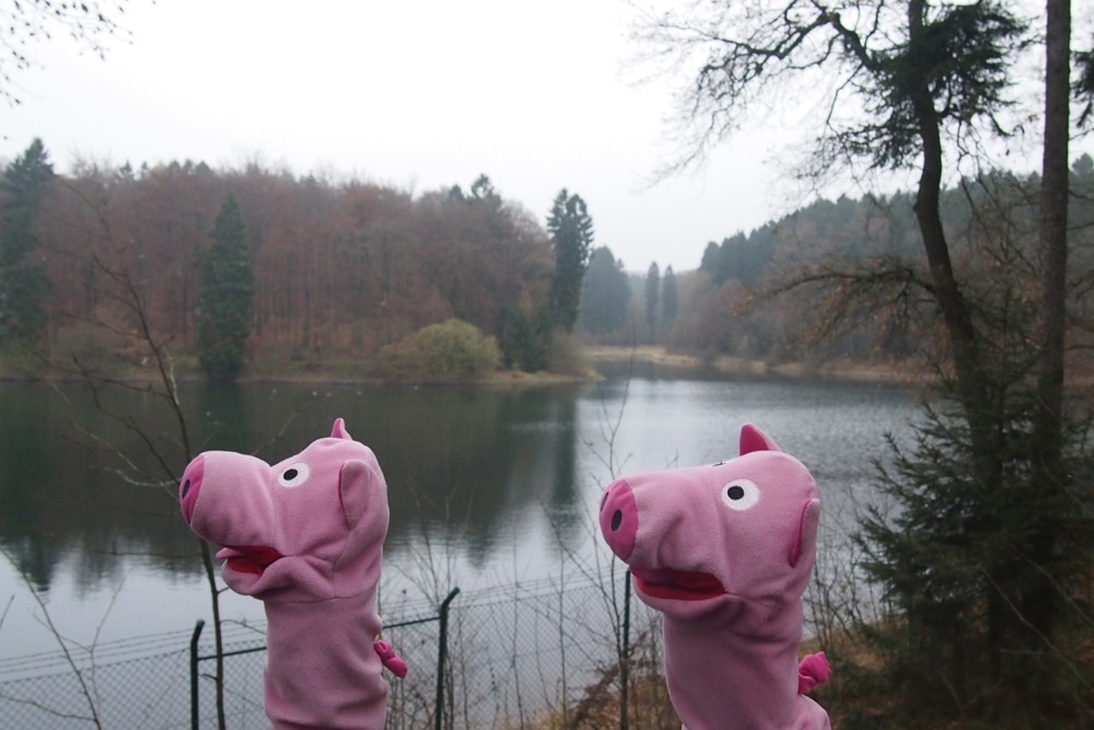 Der Weg führt an der Eschbachtalsperre entlang.