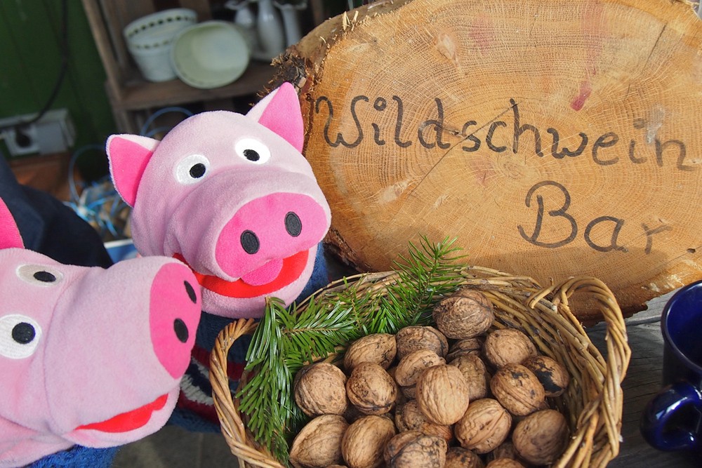 Wie schön: Nüsse für die wilden Schweine!