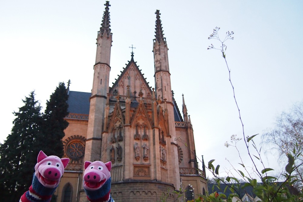 Am Kloster Apollinarisberg. Hier treffen die Schweine...